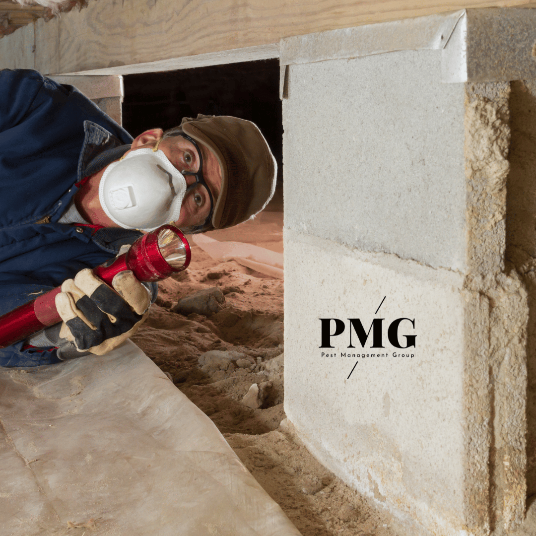 Crawlspace Inspection PMG